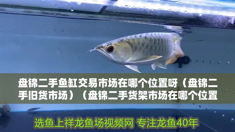 盤錦二手魚缸交易市場(chǎng)在哪個(gè)位置呀（盤錦二手舊貨市場(chǎng)）（盤錦二手貨架市場(chǎng)在哪個(gè)位置？）