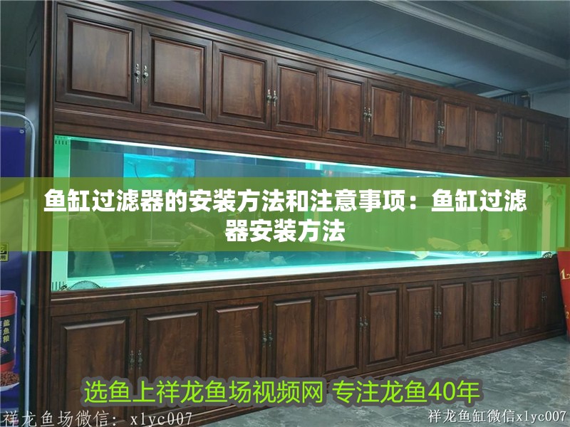 魚缸過濾器的安裝方法和注意事項：魚缸過濾器安裝方法