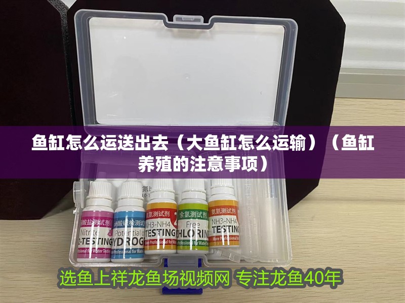 魚缸怎么運送出去（大魚缸怎么運輸）（魚缸養殖的注意事項）