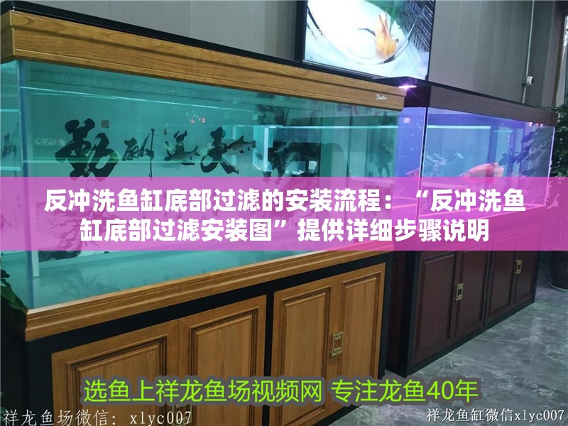 反沖洗魚缸底部過濾的安裝流程：“反沖洗魚缸底部過濾安裝圖”提供詳細步驟說明