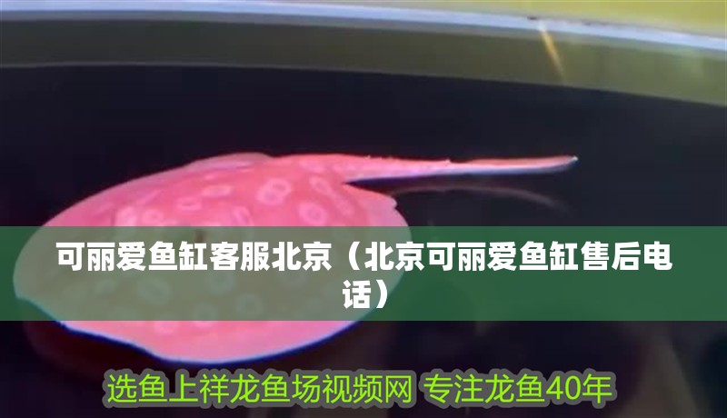 可麗愛魚缸客服北京（北京可麗愛魚缸售后電話）
