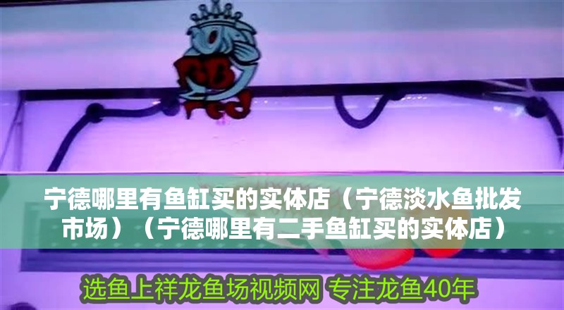 寧德哪里有魚缸買的實體店（寧德淡水魚批發市場）（寧德哪里有二手魚缸買的實體店）