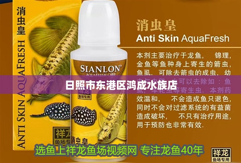 日照市東港區鴻成水族店