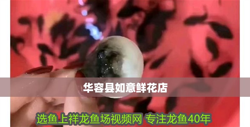 華容縣如意鮮花店