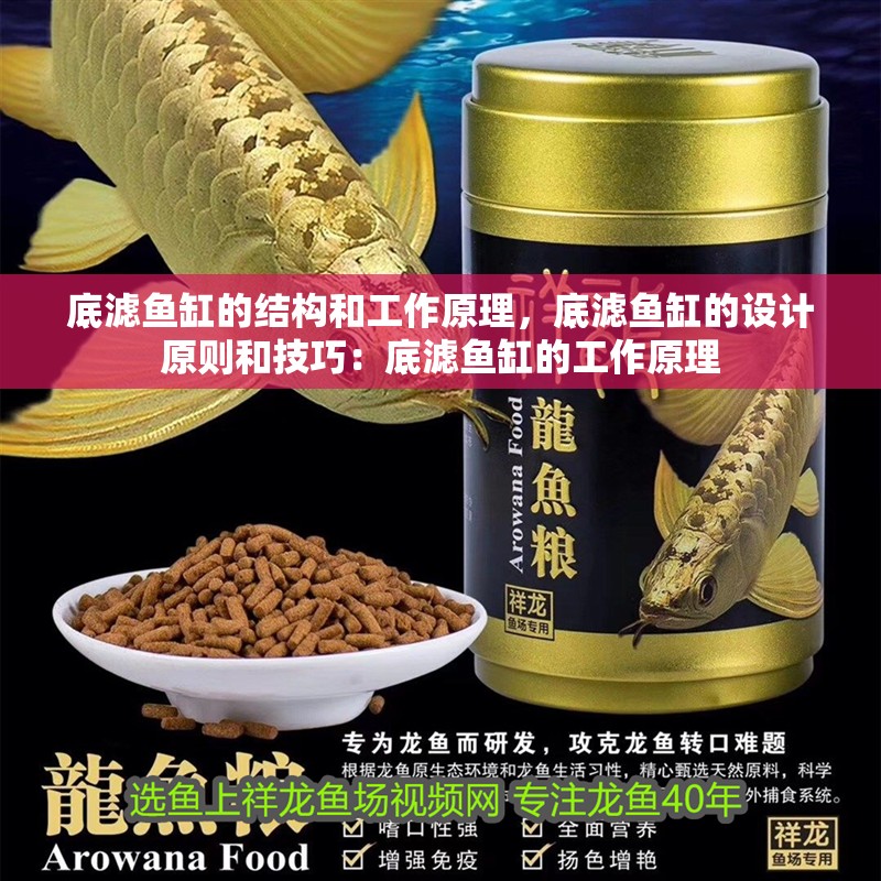 底濾魚缸的結構和工作原理，底濾魚缸的設計原則和技巧：底濾魚缸的工作原理