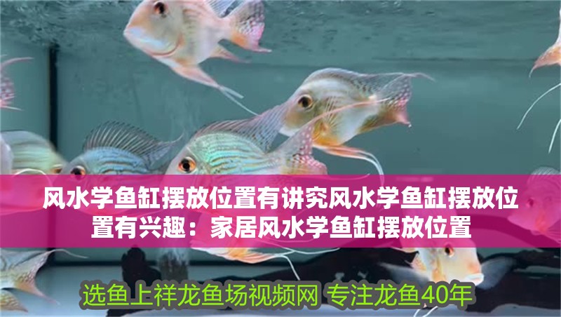 風(fēng)水學(xué)魚缸擺放位置有講究風(fēng)水學(xué)魚缸擺放位置有興趣：家居風(fēng)水學(xué)魚缸擺放位置
