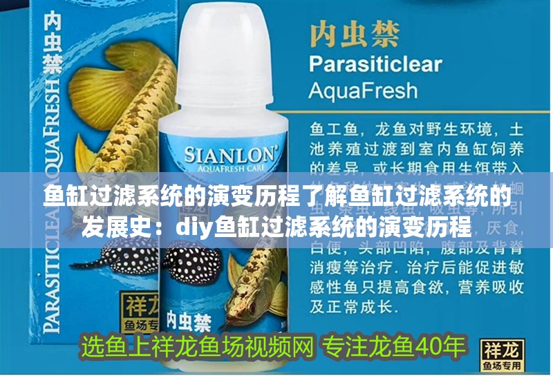 魚缸過濾系統(tǒng)的演變歷程了解魚缸過濾系統(tǒng)的發(fā)展史：diy魚缸過濾系統(tǒng)的演變歷程