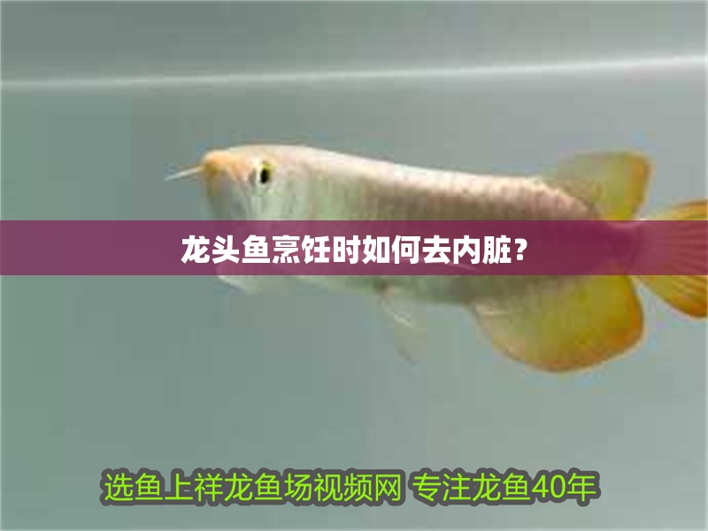 龍頭魚烹飪時如何去內臟？
