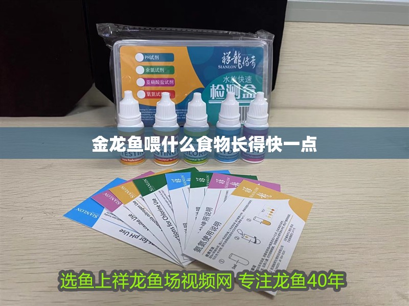 金龍魚喂什么食物長得快一點