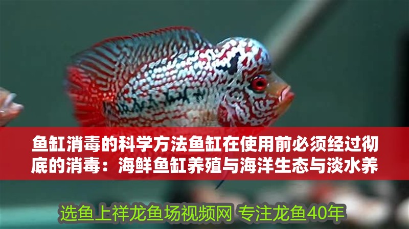 魚缸消毒的科學方法魚缸在使用前必須經過徹底的消毒：海鮮魚缸養殖與海洋生態與淡水養殖的區別