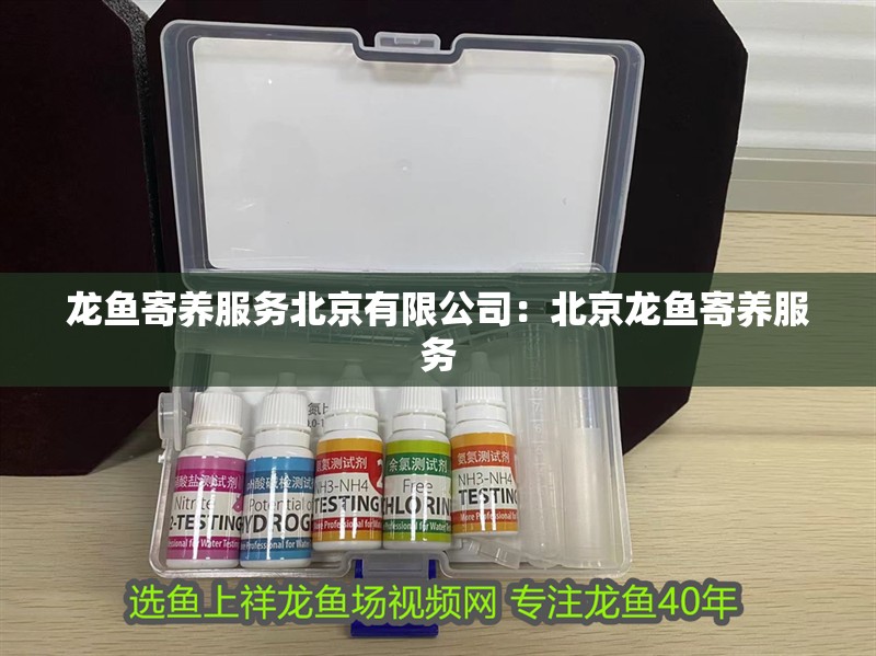 龍魚寄養服務北京有限公司：北京龍魚寄養服務