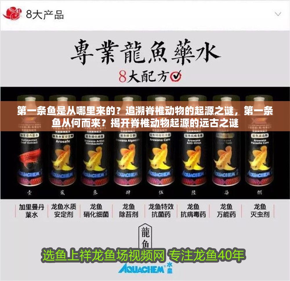 第一條魚是從哪里來的？追溯脊椎動物的起源之謎，第一條魚從何而來？揭開脊椎動物起源的遠古之謎