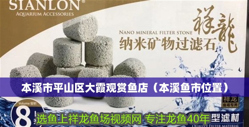 本溪市平山區(qū)大霞觀賞魚店（本溪魚市位置）