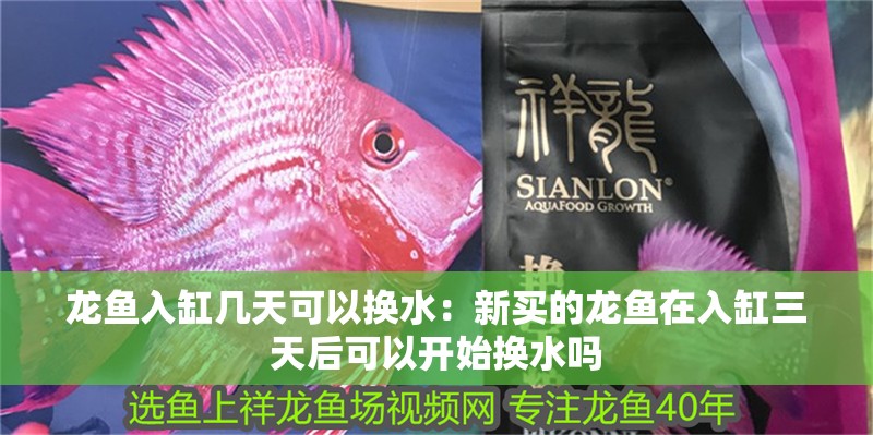 龍魚入缸幾天可以換水：新買的龍魚在入缸三天后可以開始換水嗎