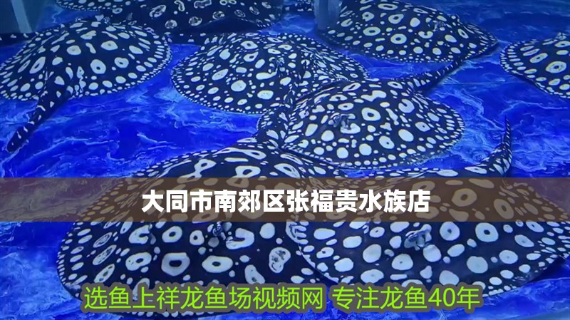 大同<strong><mark>市南</mark></strong>郊區(qū)張福貴水族店