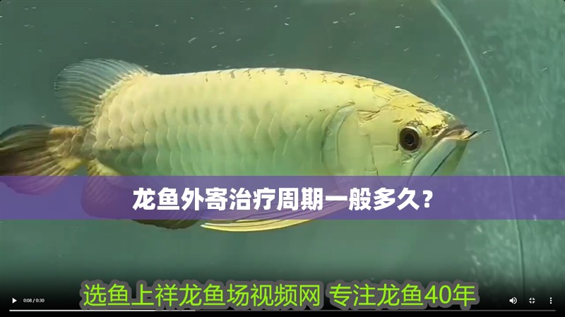 龍魚外寄治療周期一般多久？