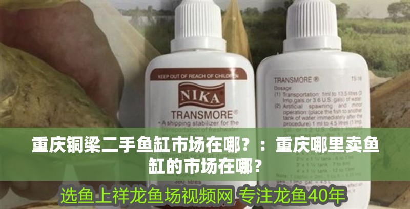 重慶銅梁二手魚缸市場在哪？：重慶哪里賣魚缸的市場在哪？