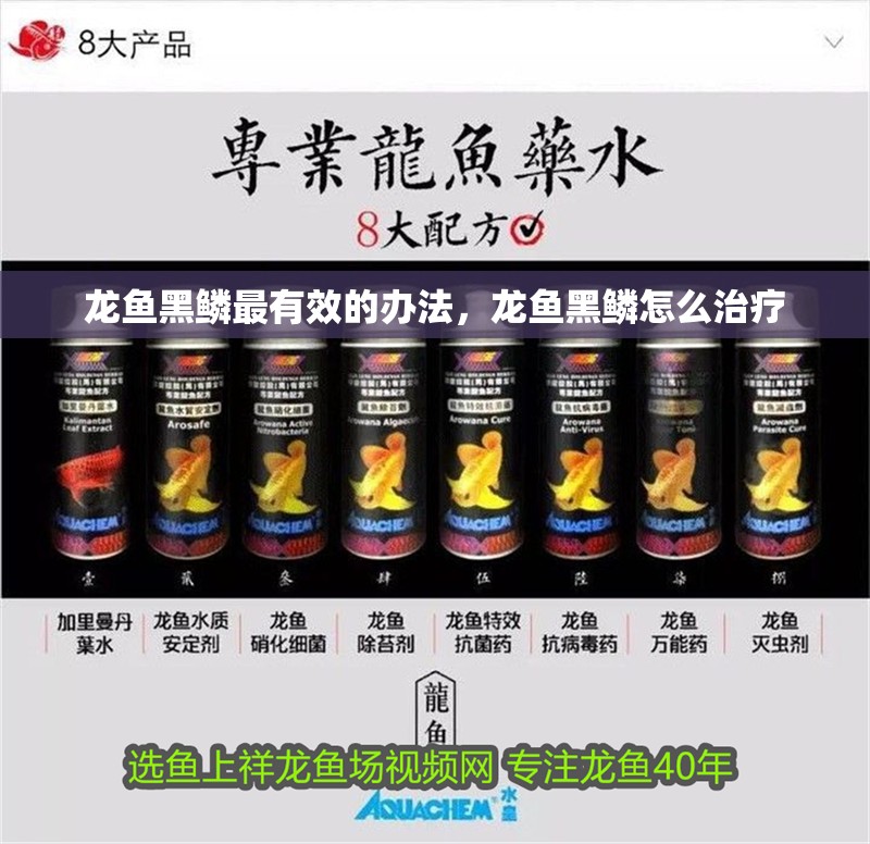 龍魚黑鱗最有效的辦法，龍魚黑鱗怎么治療