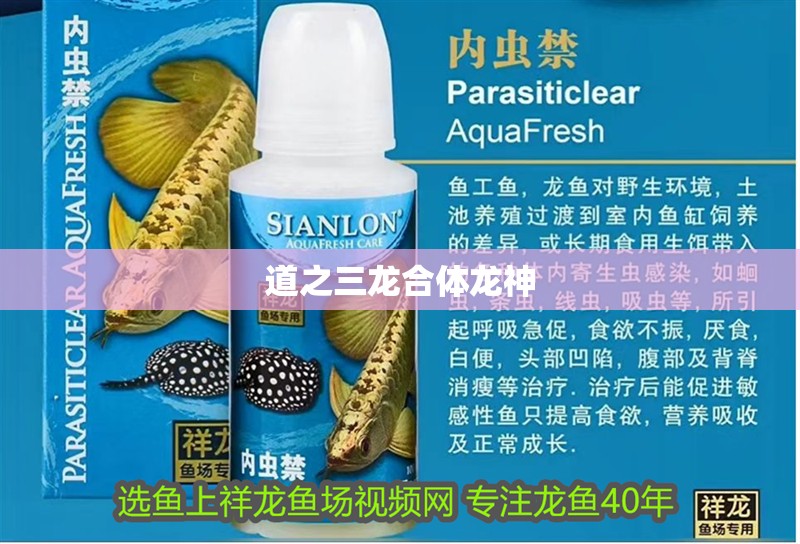 道之三龍合體龍神 道之三龍合體龍神 龍魚論壇