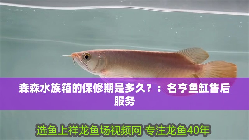 森森水族箱的保修期是多久？：名亨魚缸售后服務