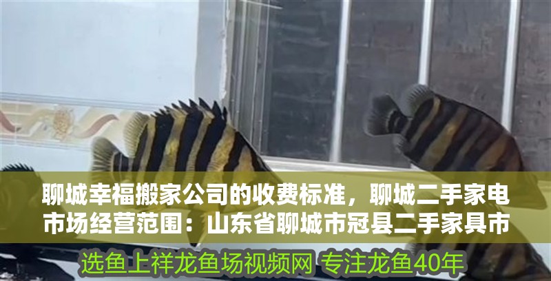 聊城幸福搬家公司的收費標準，聊城二手家電市場經營范圍：山東省聊城市冠縣二手家具市場