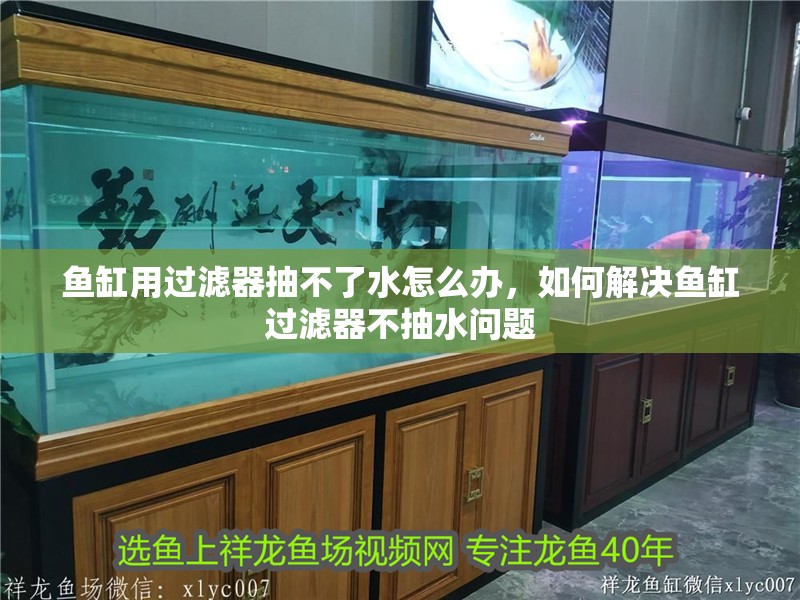 魚缸用過濾器抽不了水怎么辦，如何解決魚缸過濾器不抽水問題