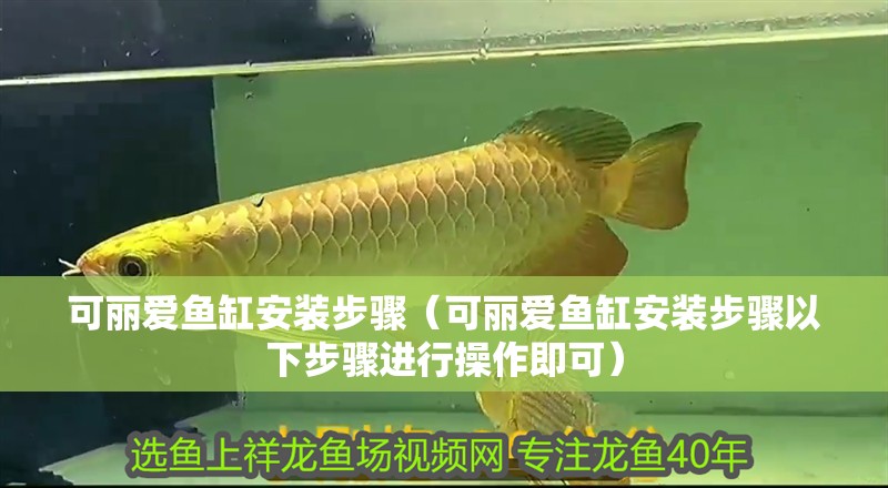 可麗愛魚缸安裝步驟（可麗愛魚缸安裝步驟以下步驟進行操作即可）