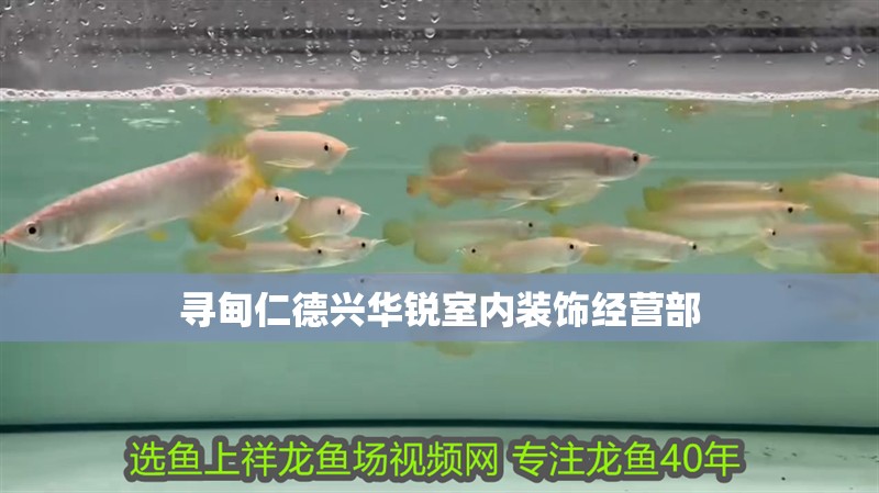 尋甸仁德興華銳室內(nèi)裝飾經(jīng)營(yíng)部