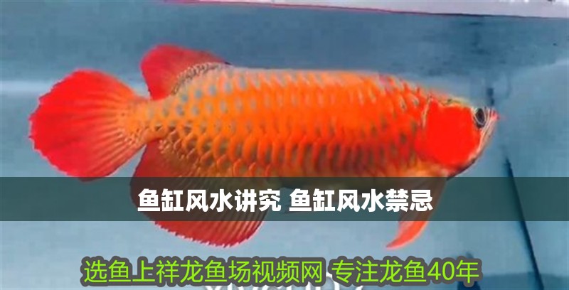 魚缸風水講究 魚缸風水禁忌
