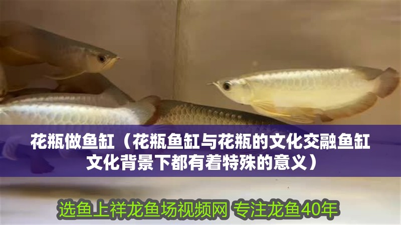 花瓶做魚(yú)缸（花瓶魚(yú)缸與花瓶的文化交融魚(yú)缸文化背景下都有著特殊的意義）