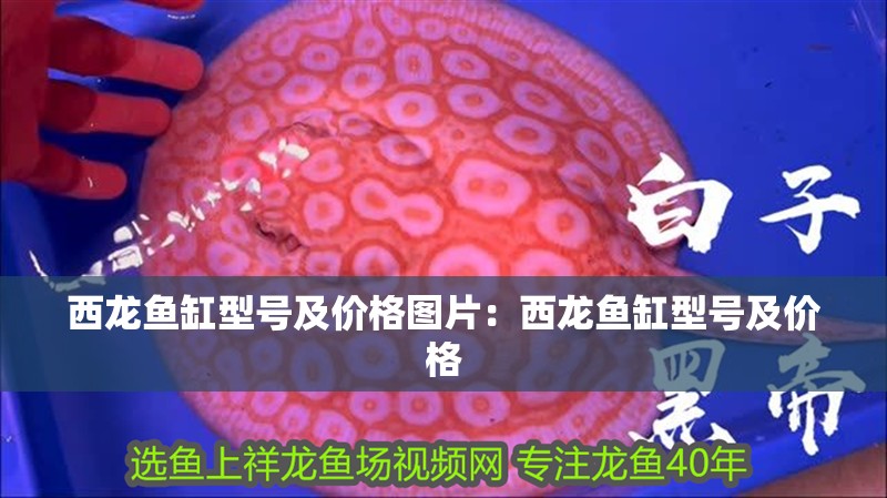 西龍魚缸型號及價格圖片：西龍魚缸型號及價格