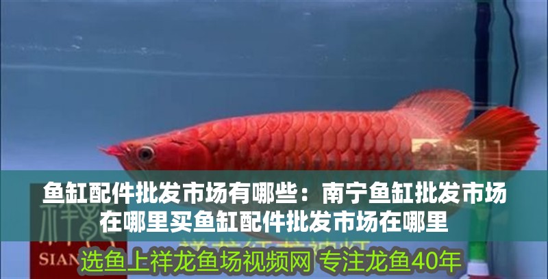 魚缸配件批發市場有哪些：南寧魚缸批發市場在哪里買魚缸配件批發市場在哪里