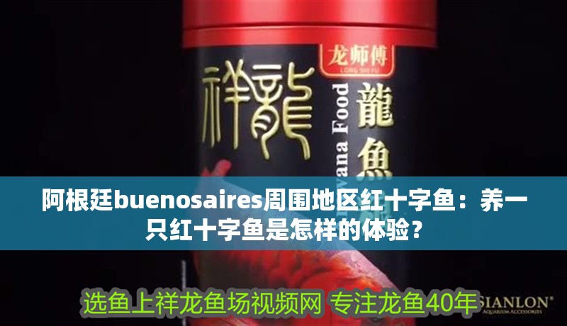 阿根廷buenosaires周圍地區紅十字魚：養一只紅十字魚是怎樣的體驗？