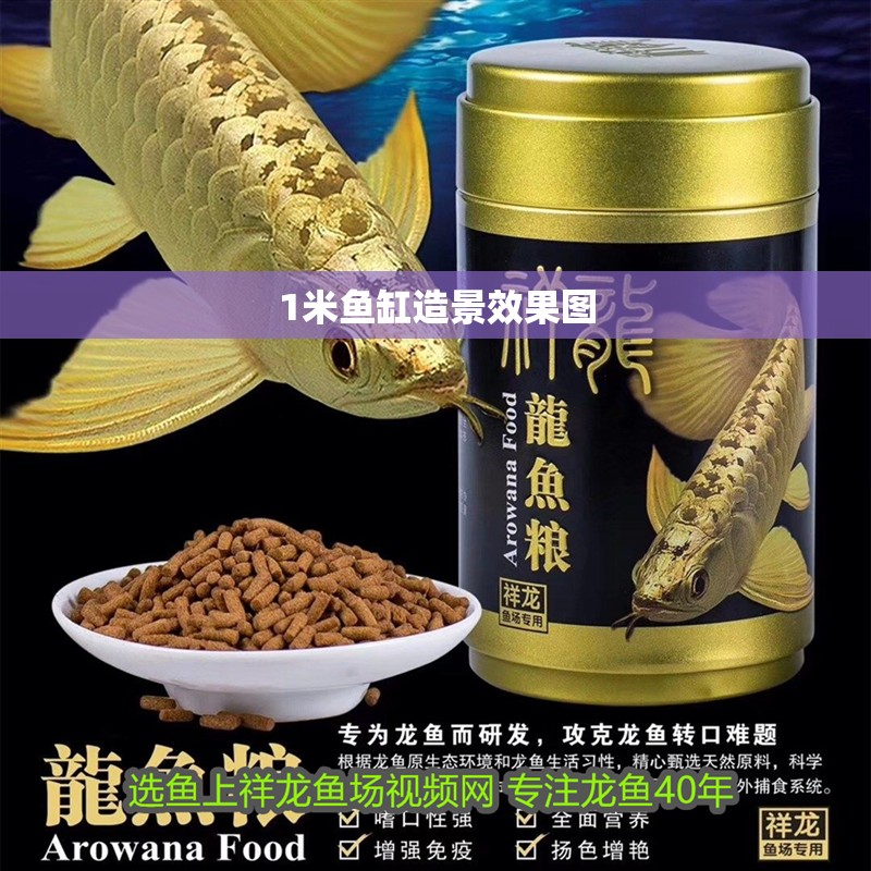 1米魚缸造景效果圖