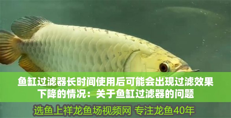 龍魚干蝦有營養嗎 魚缸過濾器長時間使用后可能會出現過濾效果下降的情況:關于魚缸過濾器的問題 魚缸百科 魚缸過濾器長時間使用后可能會出現過濾效果下降的情況:關于魚缸過濾器的問題 魚缸過濾器長時間使用后可能會出現過濾效果下降的情況:關于魚缸過濾器的問題 魚缸百科