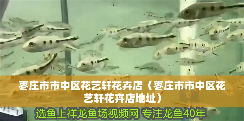 棗莊市市中區花藝軒花卉店（棗莊市市中區花藝軒花卉店地址）