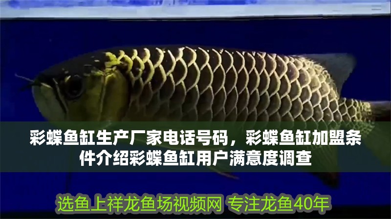 彩蝶魚缸生產廠家電話號碼，彩蝶魚缸加盟條件介紹彩蝶魚缸用戶滿意度調查