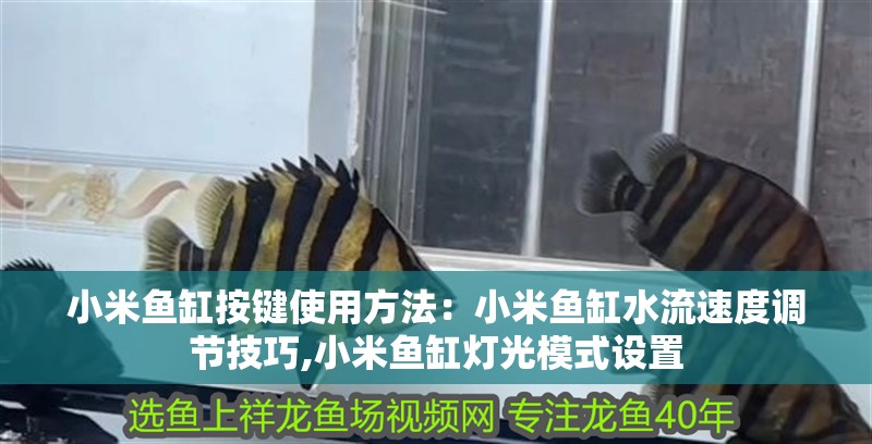 小米魚(yú)缸按鍵使用方法：小米魚(yú)缸水流速度調(diào)節(jié)技巧,小米魚(yú)缸燈光模式設(shè)置 小米魚(yú)缸按鍵使用方法：小米魚(yú)缸水流速度調(diào)節(jié)技巧,小米魚(yú)缸燈光模式設(shè)置 魚(yú)缸百科