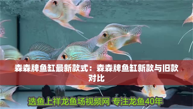 森森牌魚缸最新款式：森森牌魚缸新款與舊款對比