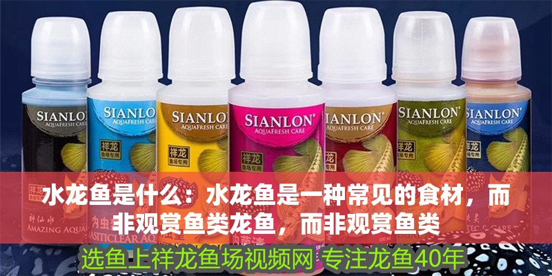 水龍魚是什么：水龍魚是一種常見的食材，而非觀賞魚類龍魚，而非觀賞魚類