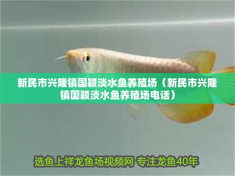 新民市興隆鎮國穎淡水魚養殖場（新民市興隆鎮國穎淡水魚養殖場電話）