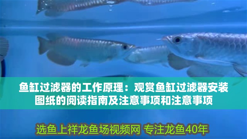 魚缸過濾器的工作原理：觀賞魚缸過濾器安裝圖紙的閱讀指南及注意事項和注意事項