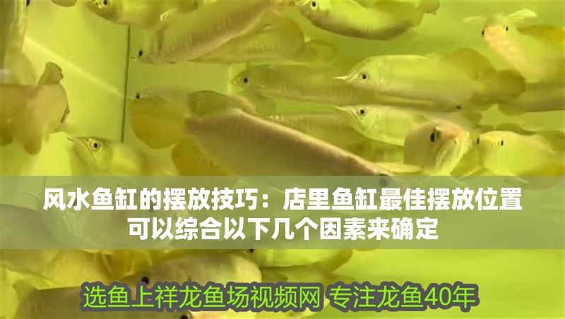 風水魚缸的擺放技巧：店里魚缸最佳擺放位置可以綜合以下幾個因素來確定