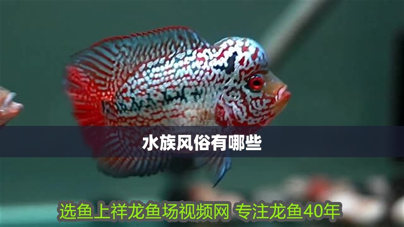 水族風俗有哪些