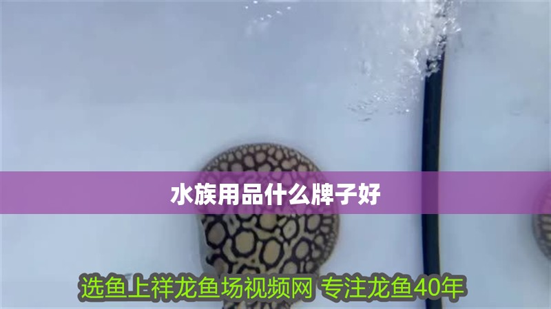 水族用品什么牌子好