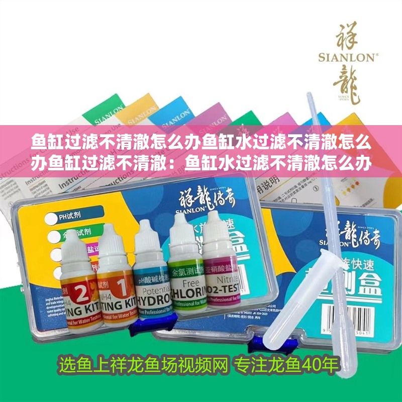 魚缸過濾不清澈怎么辦魚缸水過濾不清澈怎么辦魚缸過濾不清澈：魚缸水過濾不清澈怎么辦