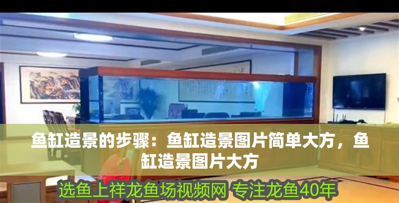 魚缸造景的步驟：魚缸造景圖片簡單大方，魚缸造景圖片大方