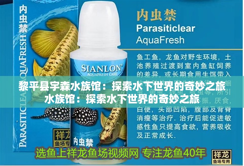 黎平縣宇森水族館：探索水下世界的奇妙之旅水族館：探索水下世界的奇妙之旅