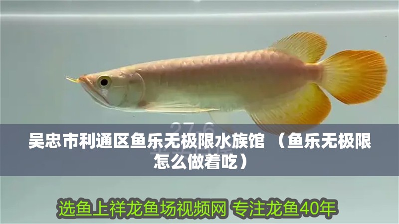 吳忠市利通區(qū)魚樂無極限水族館 （魚樂無極限怎么做著吃）