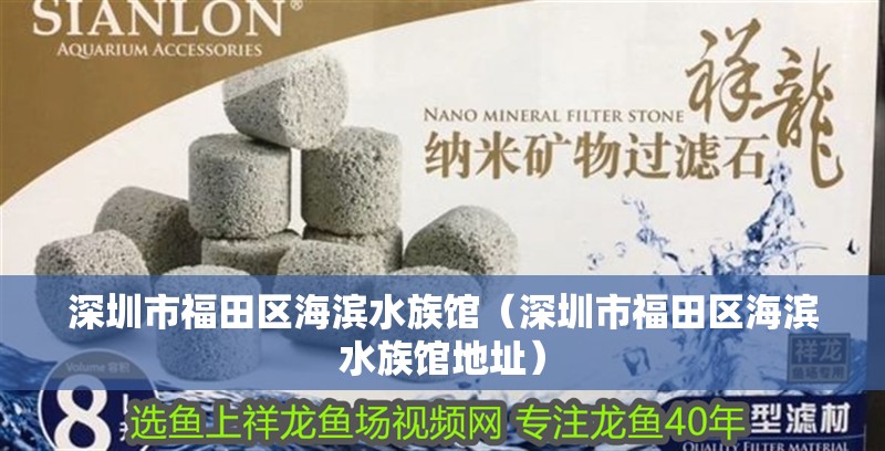 深圳市福田區(qū)海濱水族館（深圳市福田區(qū)海濱水族館地址）